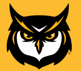 Kennesaw State Softball EXTENDED Mini Clinic Series (grades 7th - 12th) — photo 1 of 1